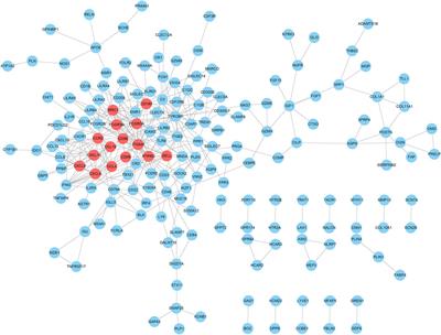 Identifying Potential Biomarkers of Prognostic Value in Colorectal Cancer via Tumor Microenvironment Data Mining